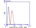 TrkA Antibody in Flow Cytometry (Flow)