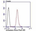 Aromatase Antibody in Flow Cytometry (Flow)