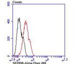 NEDD8 Antibody in Flow Cytometry (Flow)
