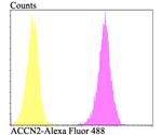 ASIC1 Antibody in Flow Cytometry (Flow)