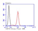 USP14 Antibody in Flow Cytometry (Flow)