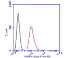 SSRP1 Antibody in Flow Cytometry (Flow)