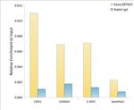 Kaiso Antibody in ChIP Assay (ChIP)