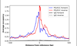 POLR1C Antibody in ChIP Assay (ChIP)
