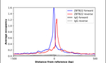 ZBTB22 Antibody in ChIP Assay (ChIP)