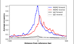 IA-6 Antibody in ChIP Assay (ChIP)