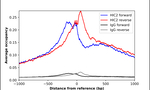 HIC2 Antibody in ChIP Assay (ChIP)