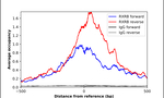 RXRB Antibody in ChIP Assay (ChIP)