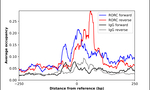 ROR gamma Antibody in ChIP Assay (ChIP)