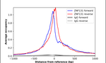 ZNF131 Antibody in ChIP Assay (ChIP)