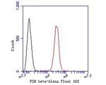 Follicle Stimulating Hormone Antibody in Flow Cytometry (Flow)