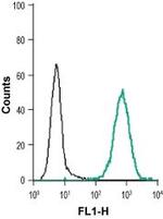 EphB1 (extracellular) Antibody in Flow Cytometry (Flow)