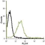 HRH4 (extracellular) Antibody in Flow Cytometry (Flow)