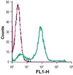 MCT1 (extracellular) Antibody in Flow Cytometry (Flow)