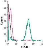 PLXNA3 (extracellular) Antibody in Flow Cytometry (Flow)