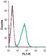 P2Y6 (extracellular) Antibody in Flow Cytometry (Flow)