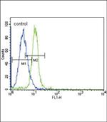 JAK2 Antibody in Flow Cytometry (Flow)
