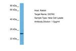 GSTA5 Polyclonal Antibody