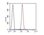 ZHX2 Antibody in Flow Cytometry (Flow)