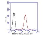 TMEM163 Antibody in Flow Cytometry (Flow)