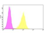 CACNG2 Antibody in Flow Cytometry (Flow)