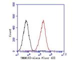 TMEM163 Antibody in Flow Cytometry (Flow)