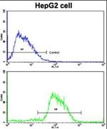 CDH4 Antibody in Flow Cytometry (Flow)