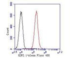 KCNK2 Antibody in Flow Cytometry (Flow)