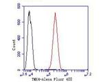 TMX4 Antibody in Flow Cytometry (Flow)