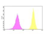 SPATA13 Antibody in Flow Cytometry (Flow)