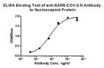 SARS-CoV-2 Nucleocapsid Antibody in ELISA (ELISA)
