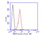 WDR70 Antibody in Flow Cytometry (Flow)