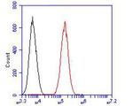 USP29 Antibody in Flow Cytometry (Flow)