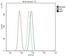 MR1 Antibody in Flow Cytometry (Flow)