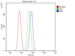 MR1 Antibody in Flow Cytometry (Flow)