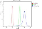 MTR Antibody in Flow Cytometry (Flow)
