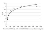 SARS-CoV-2 Nucleocapsid Antibody in ELISA (ELISA)