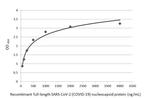 SARS-CoV-2 Nucleocapsid Antibody in ELISA (ELISA)