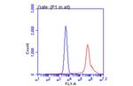 SARS-CoV-2 Spike Protein (RBD) Antibody in Flow Cytometry (Flow)