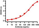 SARS-CoV-2 Spike Protein S1 Antibody in ELISA (ELISA)