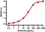 SARS-CoV-2 Spike Protein S1 Antibody in ELISA (ELISA)