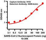 SARS-CoV-2 Nucleocapsid Antibody in ELISA (ELISA)