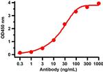 SARS-CoV-2 Nucleocapsid Antibody in ELISA (ELISA)