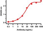 SARS-CoV-2 Spike Protein S2 Antibody in ELISA (ELISA)