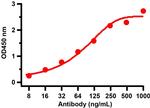 SARS-CoV-2 Spike Protein S2 Antibody in ELISA (ELISA)