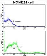 CD8 alpha Antibody in Flow Cytometry (Flow)