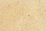 H3K27me3 Antibody in Immunohistochemistry (Paraffin) (IHC (P))
