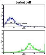 CD8 beta Antibody in Flow Cytometry (Flow)