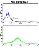 CDH7 Antibody in Flow Cytometry (Flow)