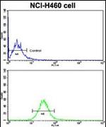 CDH10 Antibody in Flow Cytometry (Flow)